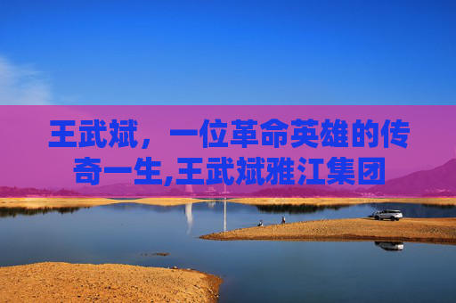 王武斌，一位革命英雄的传奇一生,王武斌雅江集团
