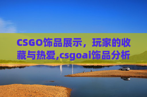 CSGO饰品展示，玩家的收藏与热爱,csgoai饰品分析