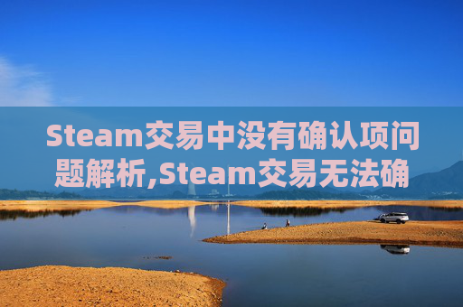 Steam交易中没有确认项问题解析,Steam交易无法确认