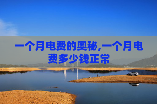 一个月电费的奥秘,一个月电费多少钱正常
