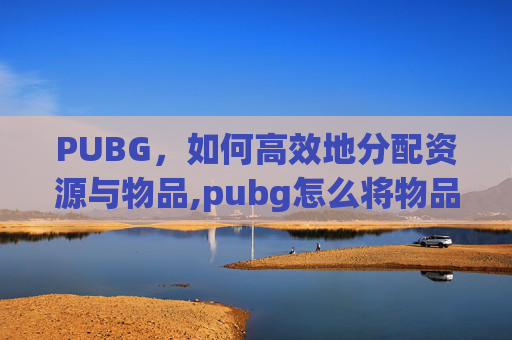 PUBG，如何高效地分配资源与物品,pubg怎么将物品分开