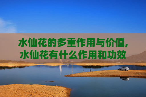水仙花的多重作用与价值,水仙花有什么作用和功效