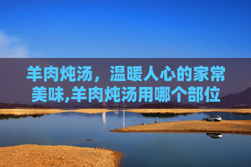 羊肉炖汤，温暖人心的家常美味,羊肉炖汤用哪个部位