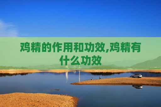 鸡精的作用和功效,鸡精有什么功效