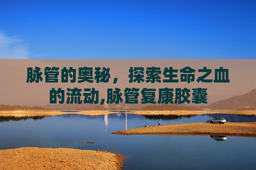 脉管的奥秘，探索生命之血的流动,脉管复康胶囊