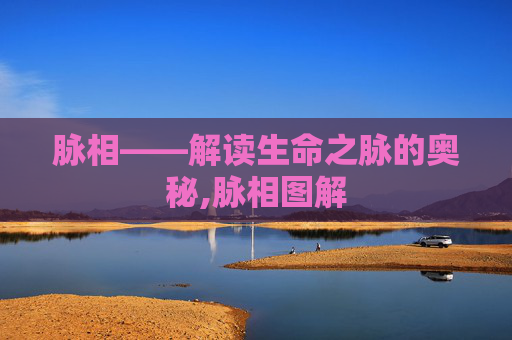 脉相——解读生命之脉的奥秘,脉相图解