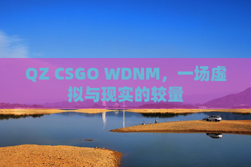 QZ CSGO WDNM，一场虚拟与现实的较量