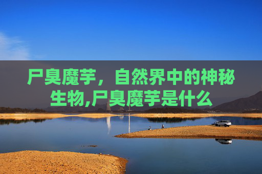 尸臭魔芋，自然界中的神秘生物,尸臭魔芋是什么