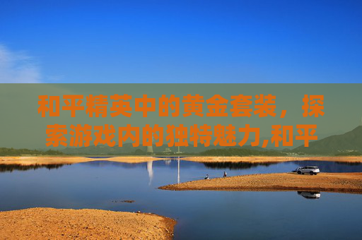 和平精英中的黄金套装，探索游戏内的独特魅力,和平精英中的黄金套装有什么用