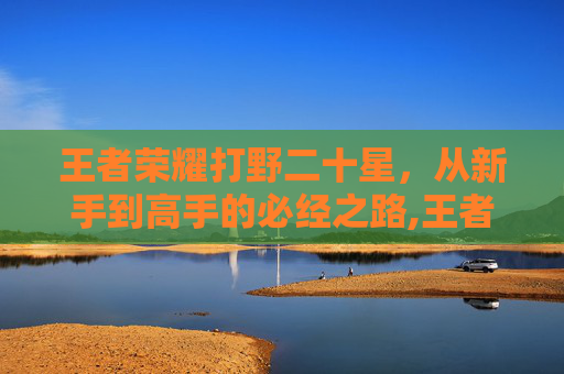 王者荣耀打野二十星，从新手到高手的必经之路,王者荣耀打野二十星怎么打