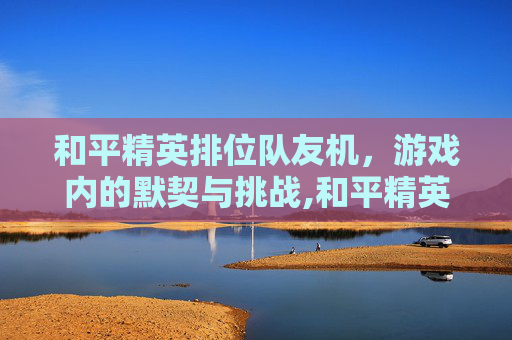 和平精英排位队友机，游戏内的默契与挑战,和平精英排位队友机制怎么开