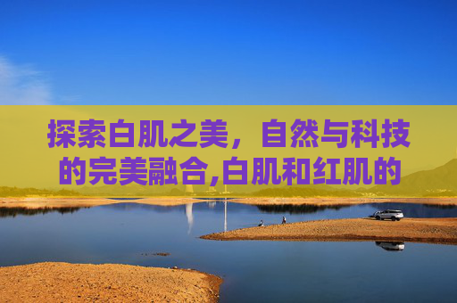 探索白肌之美，自然与科技的完美融合,白肌和红肌的区别
