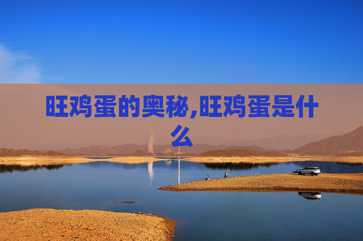 旺鸡蛋的奥秘,旺鸡蛋是什么