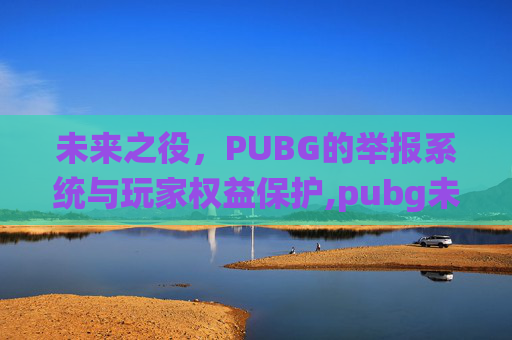 未来之役，PUBG的举报系统与玩家权益保护,pubg未来之役测试地区