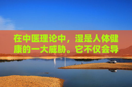 在中医理论中，湿是人体健康的一大威胁。它不仅会导致身体不适，还可能引发各种疾病。因此，如何祛湿成为了许多人关注的话题。本文将为您介绍几种有效的祛湿方法，帮助您摆脱湿气的困扰。,怎样祛湿气效果最好