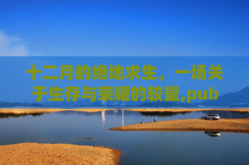 十二月的绝地求生，一场关于生存与荣耀的较量,pubg十二月在哪里直播
