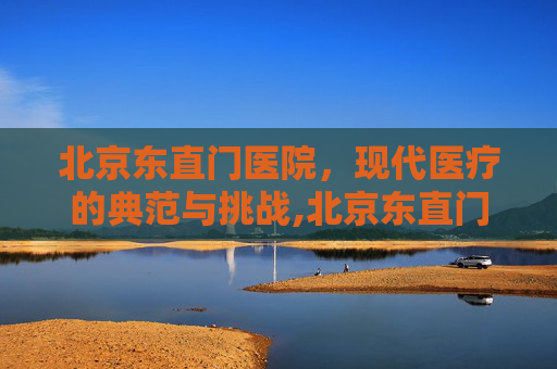 北京东直门医院，现代医疗的典范与挑战,北京东直门医院是三甲医院吗