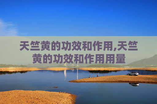 天竺黄的功效和作用,天竺黄的功效和作用用量