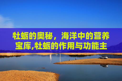 牡蛎的奥秘，海洋中的营养宝库,牡蛎的作用与功能主治