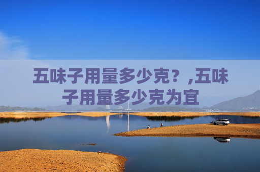 五味子用量多少克？,五味子用量多少克为宜