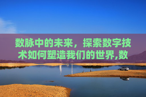 数脉中的未来，探索数字技术如何塑造我们的世界,数脉主病