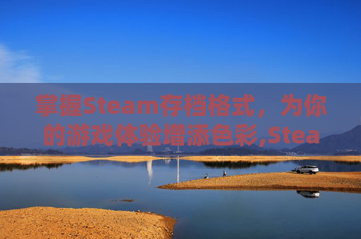 掌握Steam存档格式，为你的游戏体验增添色彩,Steam存档