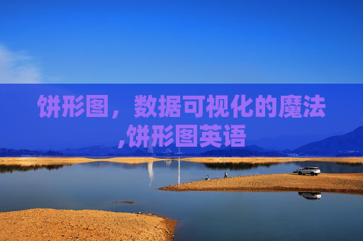 饼形图，数据可视化的魔法,饼形图英语