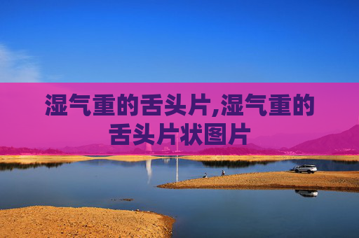 湿气重的舌头片,湿气重的舌头片状图片