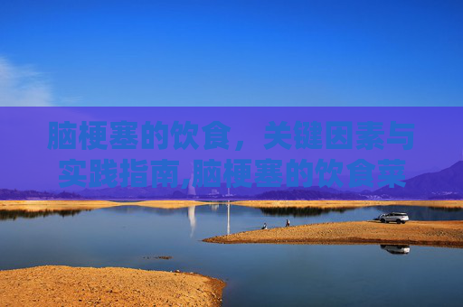 脑梗塞的饮食，关键因素与实践指南,脑梗塞的饮食菜谱大全