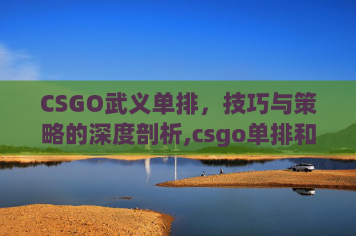 CSGO武义单排，技巧与策略的深度剖析,csgo单排和组排有区别吗