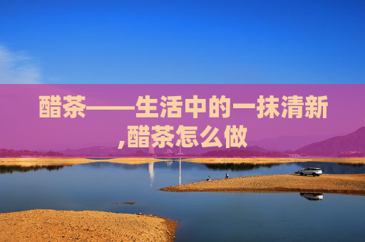醋茶——生活中的一抹清新,醋茶怎么做