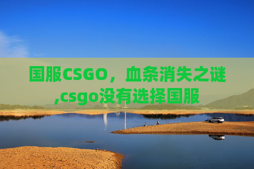 国服CSGO，血条消失之谜,csgo没有选择国服