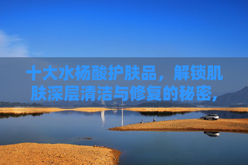 十大水杨酸护肤品，解锁肌肤深层清洁与修复的秘密,十大水杨酸护肤品排行