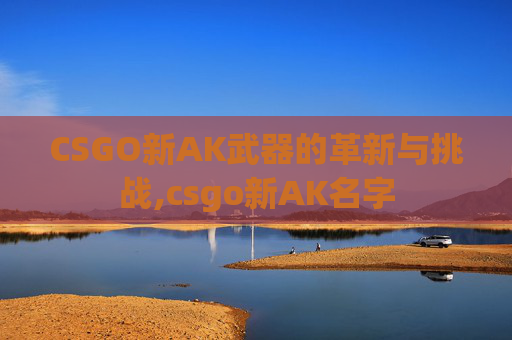 CSGO新AK武器的革新与挑战,csgo新AK名字