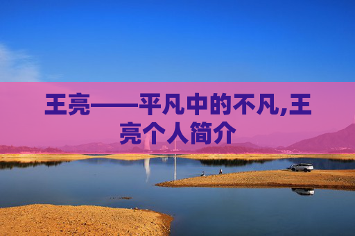 王亮——平凡中的不凡,王亮个人简介