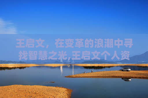 王启文，在变革的浪潮中寻找智慧之光,王启文个人资料简介简历