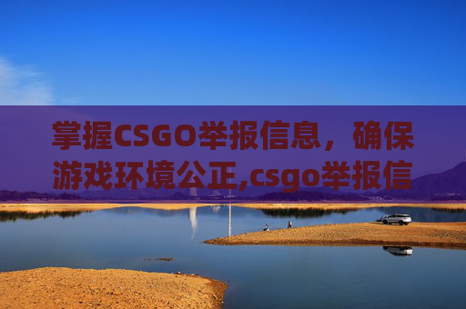 掌握CSGO举报信息，确保游戏环境公正,csgo举报信息怎么看的