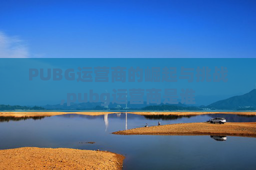PUBG运营商的崛起与挑战,pubg运营商是谁