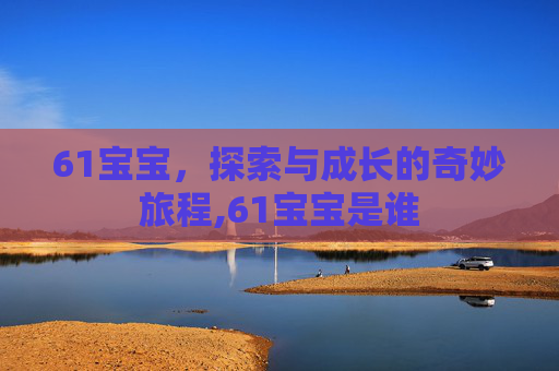 61宝宝，探索与成长的奇妙旅程,61宝宝是谁
