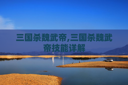 三国杀魏武帝,三国杀魏武帝技能详解