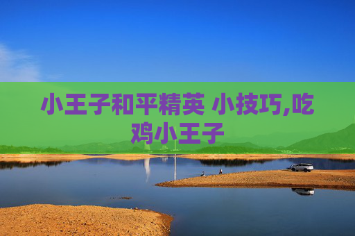 小王子和平精英 小技巧,吃鸡小王子