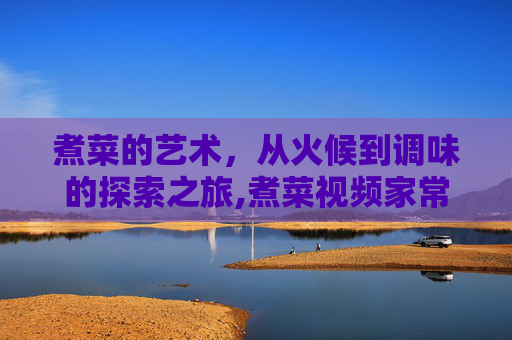 煮菜的艺术，从火候到调味的探索之旅,煮菜视频家常菜