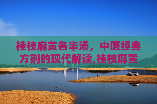 桂枝麻黄各半汤，中医经典方剂的现代解读,桂枝麻黄各半汤原文