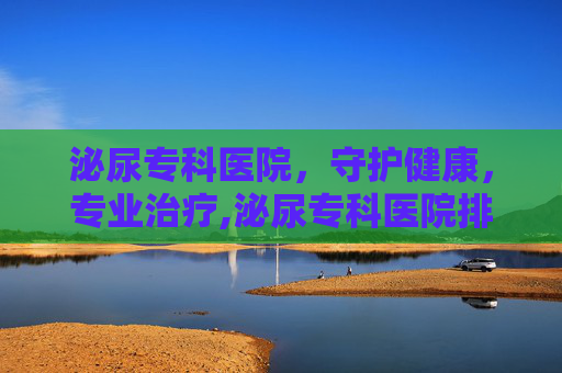 泌尿专科医院，守护健康，专业治疗,泌尿专科医院排名前十
