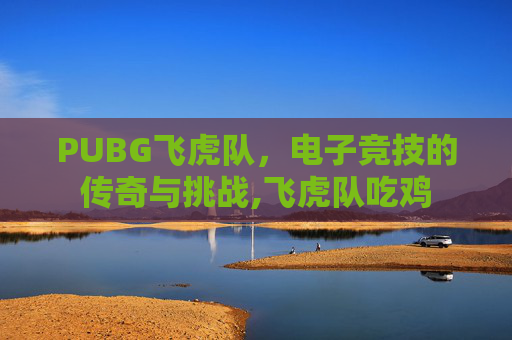 PUBG飞虎队，电子竞技的传奇与挑战,飞虎队吃鸡