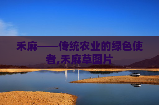 禾麻——传统农业的绿色使者,禾麻草图片
