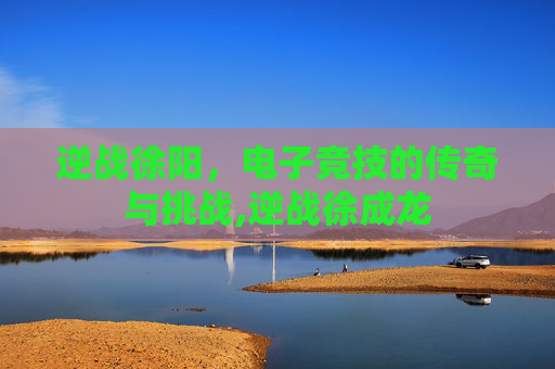 逆战徐阳，电子竞技的传奇与挑战,逆战徐成龙