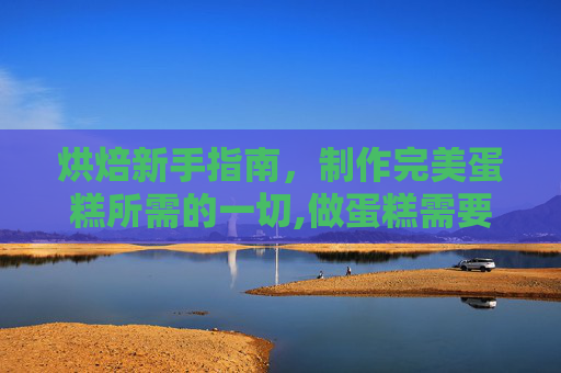 烘焙新手指南，制作完美蛋糕所需的一切,做蛋糕需要什么面粉