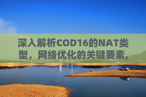 深入解析COD16的NAT类型，网络优化的关键要素,cod16叫什么