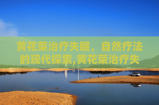 黄花菜治疗失眠，自然疗法的现代探索,黄花菜治疗失眠吗